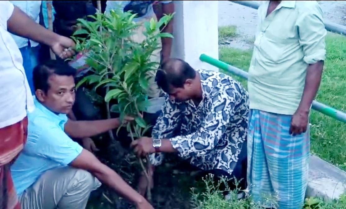 বৃক্ষরোপনে কর্মসূচি নিলো দাদপুর গ্রাম পঞ্চায়েতের উপপ্রধান তথা হাড়োয়া বিধানসভার জনপ্রিয় জননেতা আব্দুল হাই।